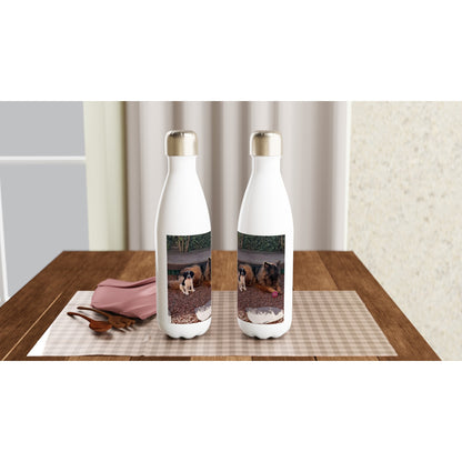 8d8ed306-73ac-4d7e-883d-cb3586035cc9