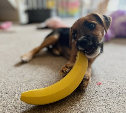 Non Rubber Treat Dispensing Dog Chew toy - Sayby’s Sanctuary 