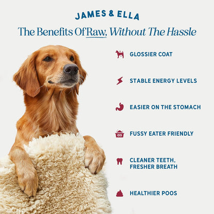 Freeze-Dried Dog Treats 40g