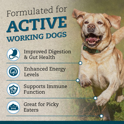Raw Dog Food Active 80/20 Mince 7kg