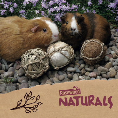 Rosewood Naturals Trio of Fun Balls (3pcs) Small Animal Toys