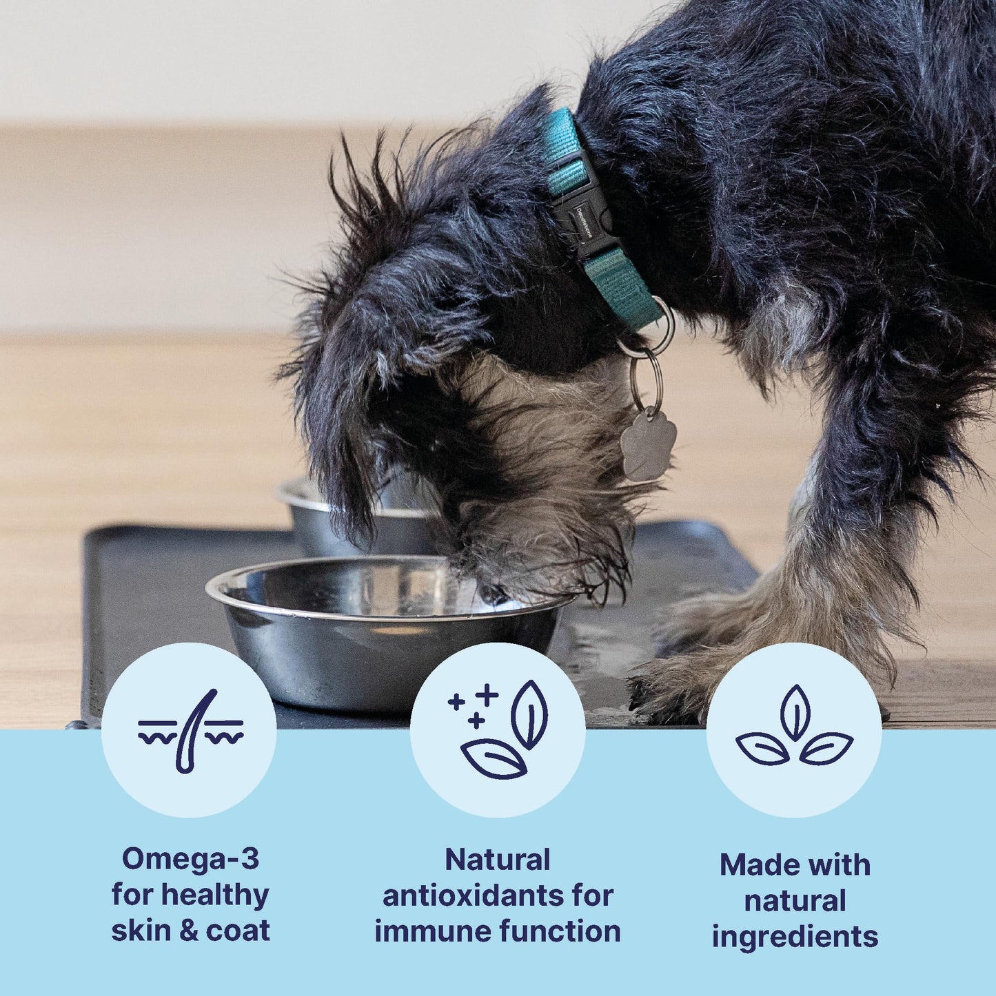 Tails.com Inner Vitality • Wet Dog Food 11 x 150g • Sensitive Chicken & Cod • Adult 1-7 years • Grain Free Recipe • Made with natural ingredients • Contains Omega 3 to Support Skin and Coat