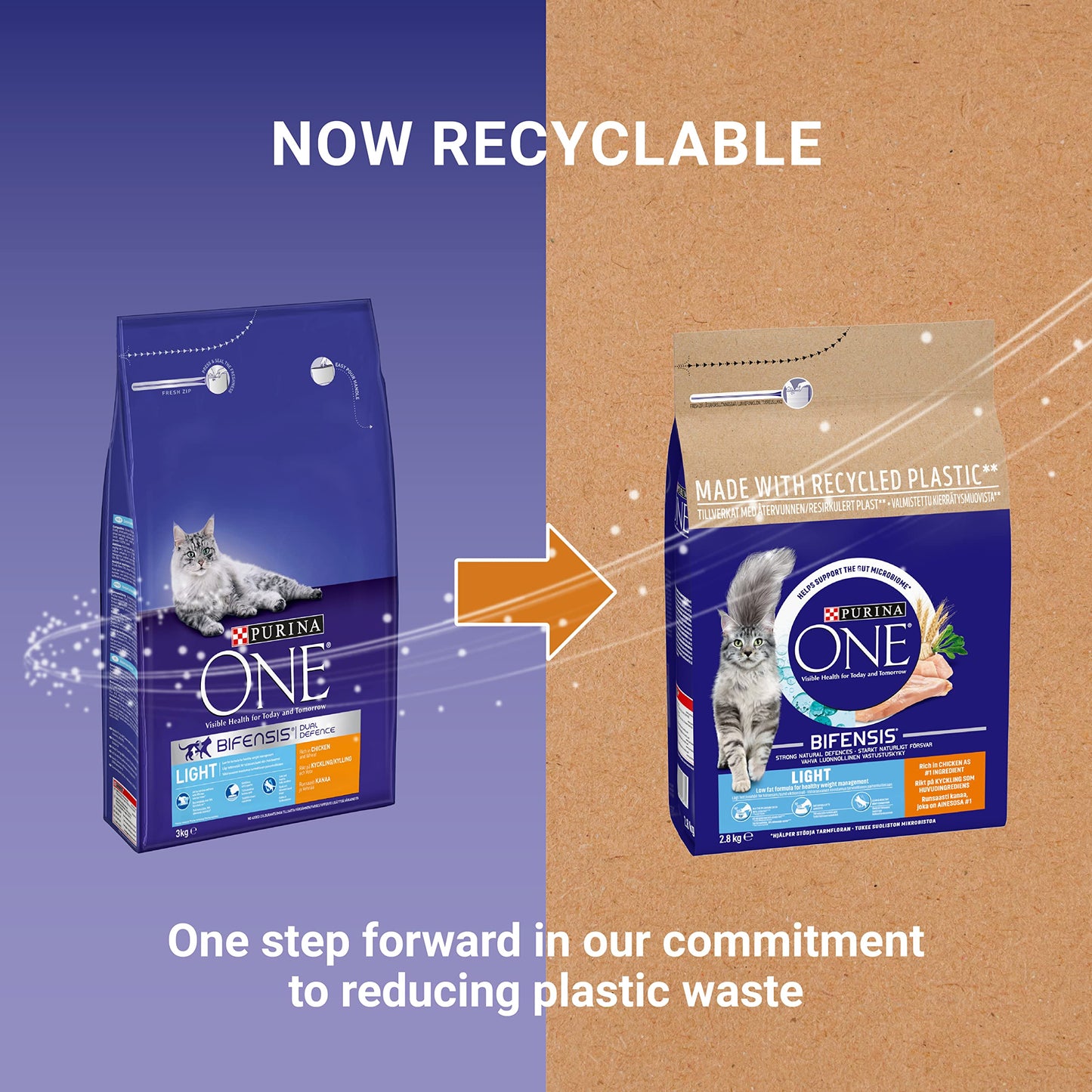 PURINA ONE | Dry Cat Food