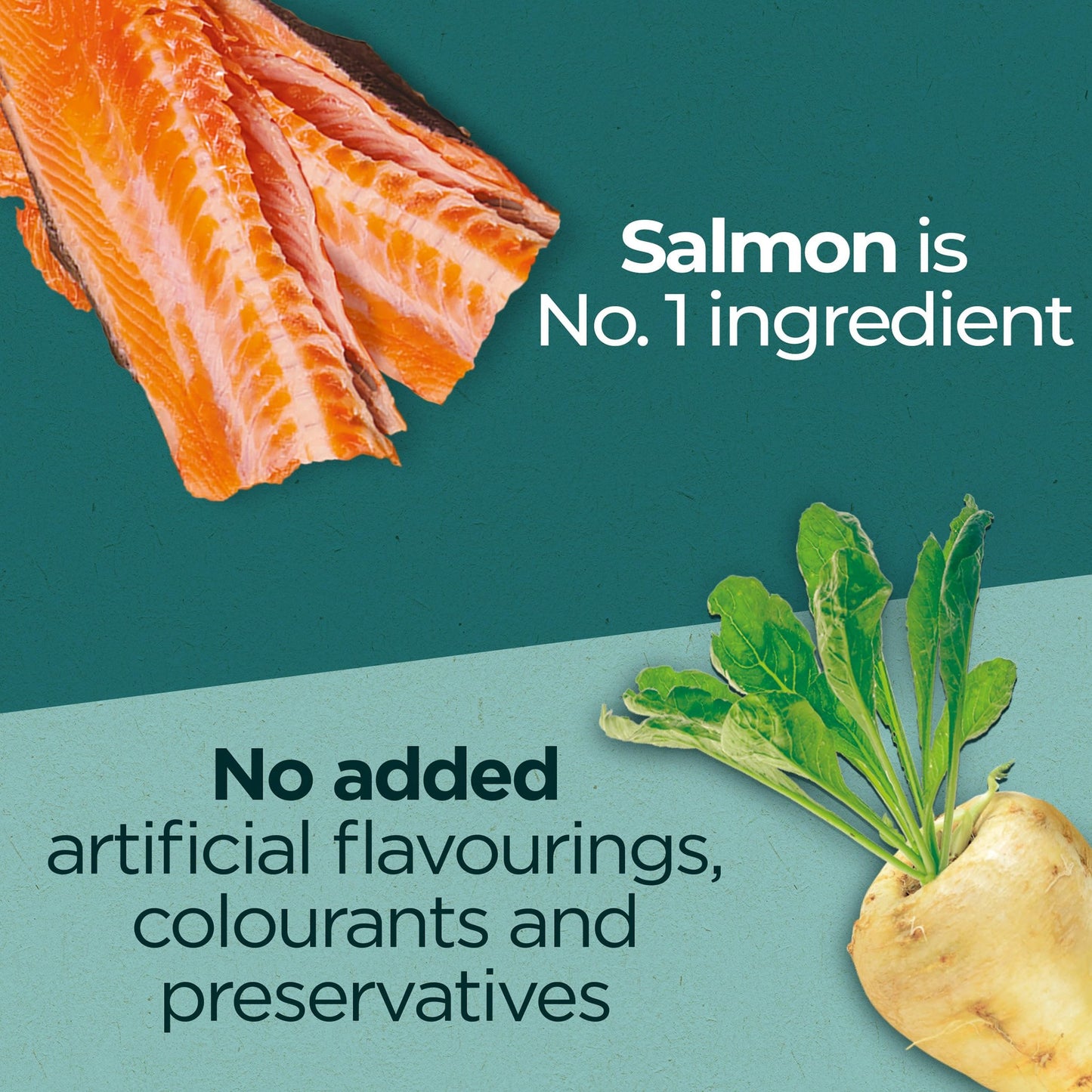 PURINA ONE Dry Cat Food