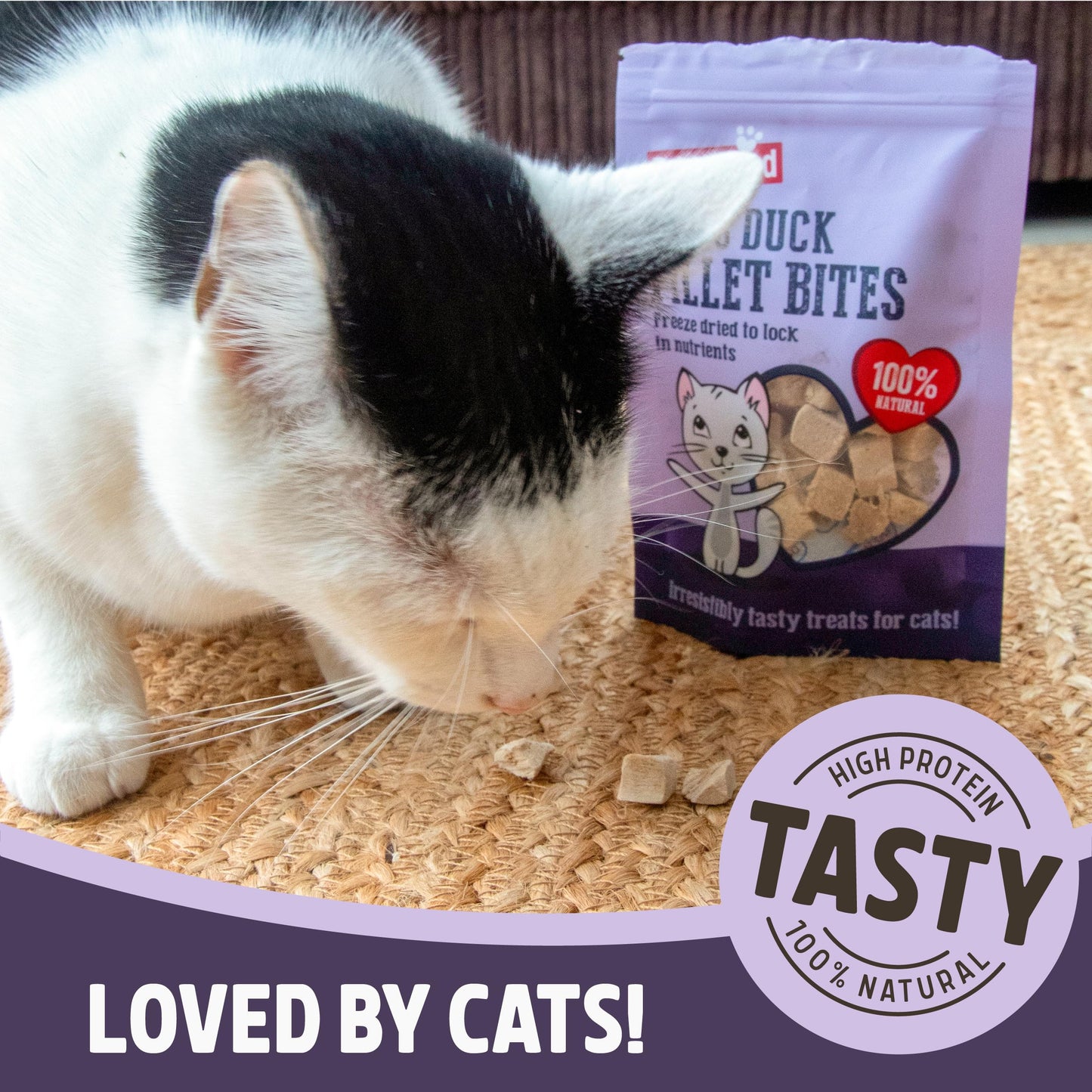 Rosewood Freeze Dried Chicken Bites for Cats - All Natural Chicken Fillet, Small, Bite-Sized Cat Treats, Grain-Free, Natural and Healthy Cat Snacks (Case of 12 x 15g Packs)