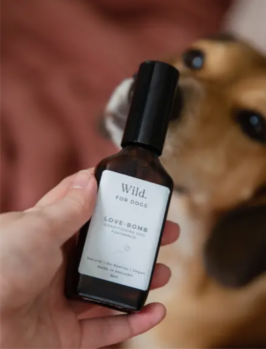 Love Bomb Dog Fragrance - Sayby’s Sanctuary 