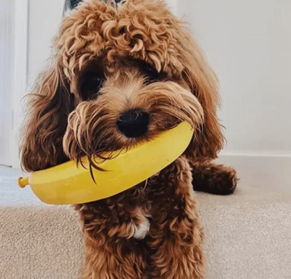 Non Rubber Treat Dispensing Dog Chew toy - Sayby’s Sanctuary 