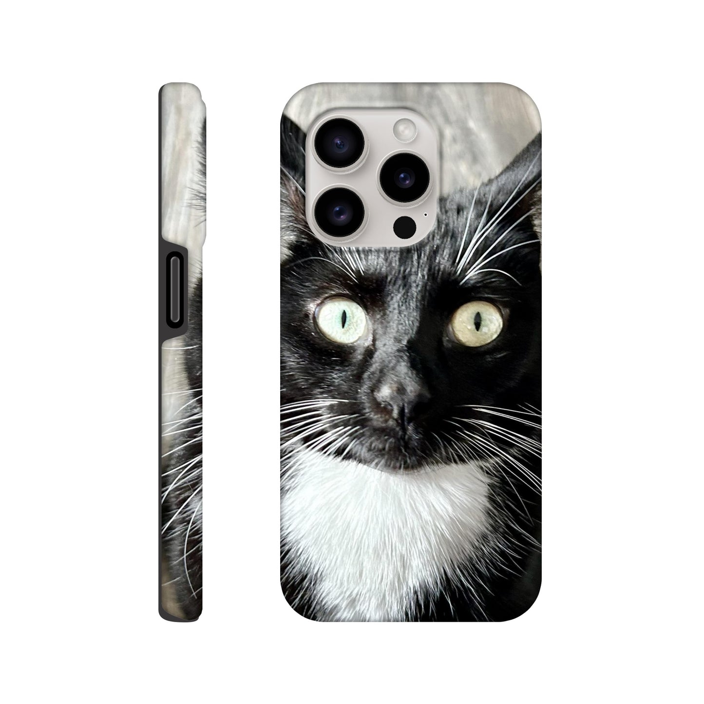 9f83176d-10d4-43b1-9cc5-6e3cd8780661