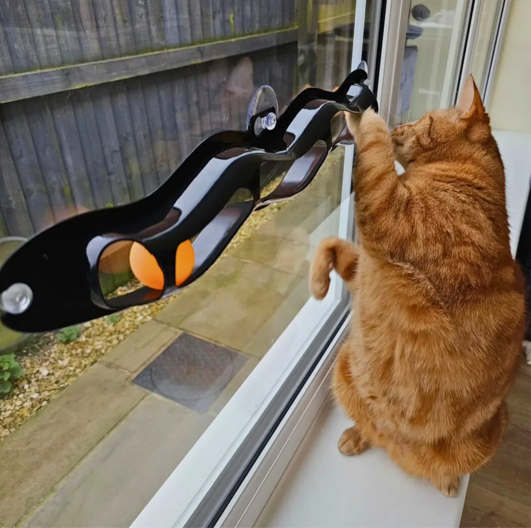 Interactive Window Track Cat toy - Sayby’s Sanctuary 