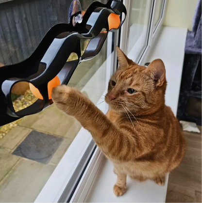 Interactive Window Track Cat toy - Sayby’s Sanctuary 