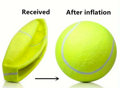 Inflatable Pet Tennis Ball Extra Large - Sayby’s Sanctuary 