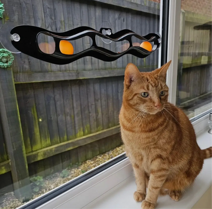 Interactive Window Track Cat toy - Sayby’s Sanctuary 