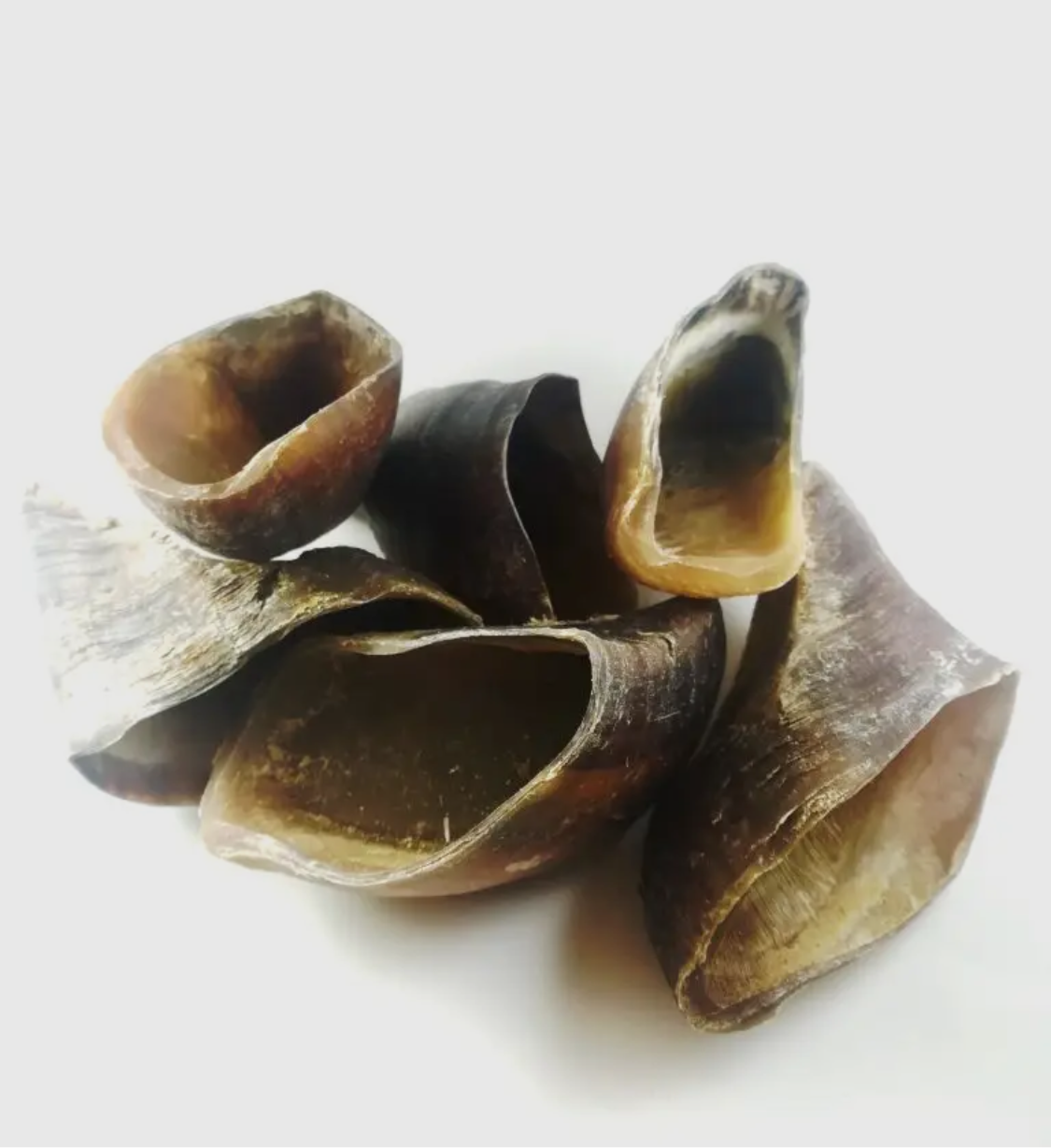 Hallow Hooves - Sayby’s Sanctuary 