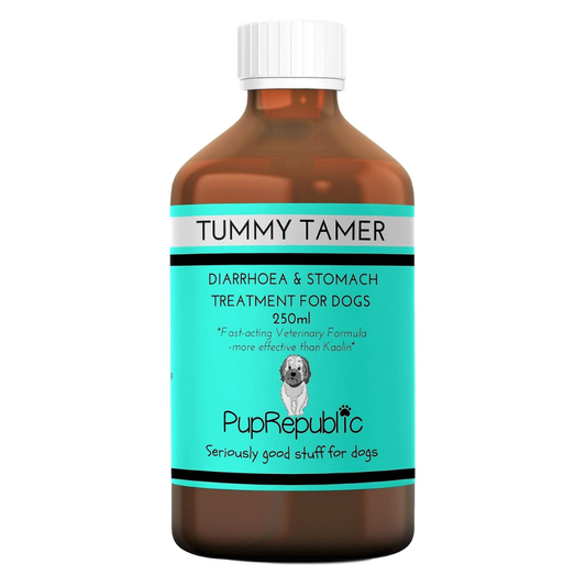 Dog Digestive Support Paste