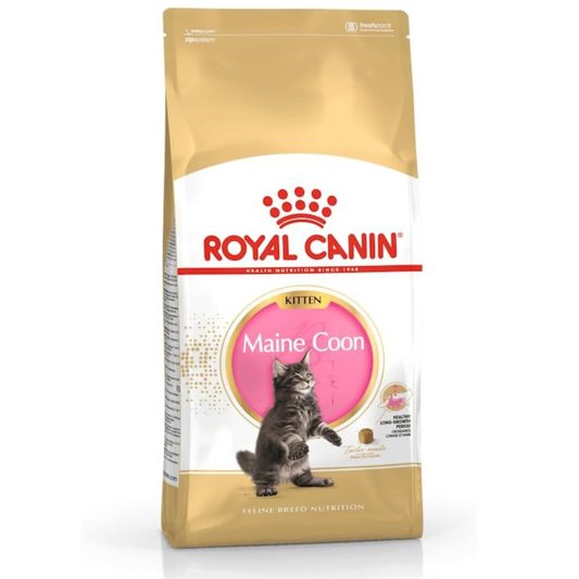 Maine Coon Kitten Food 4 x 400g