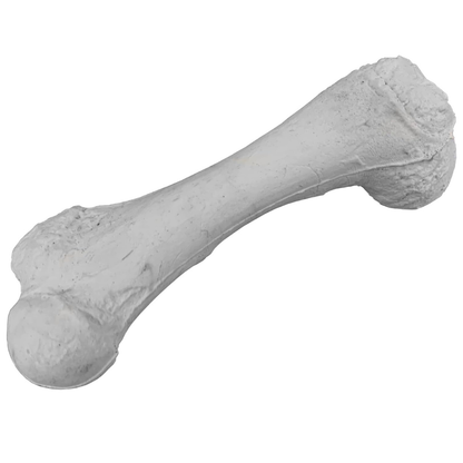 Durable Bone Chew Toy for Dogs