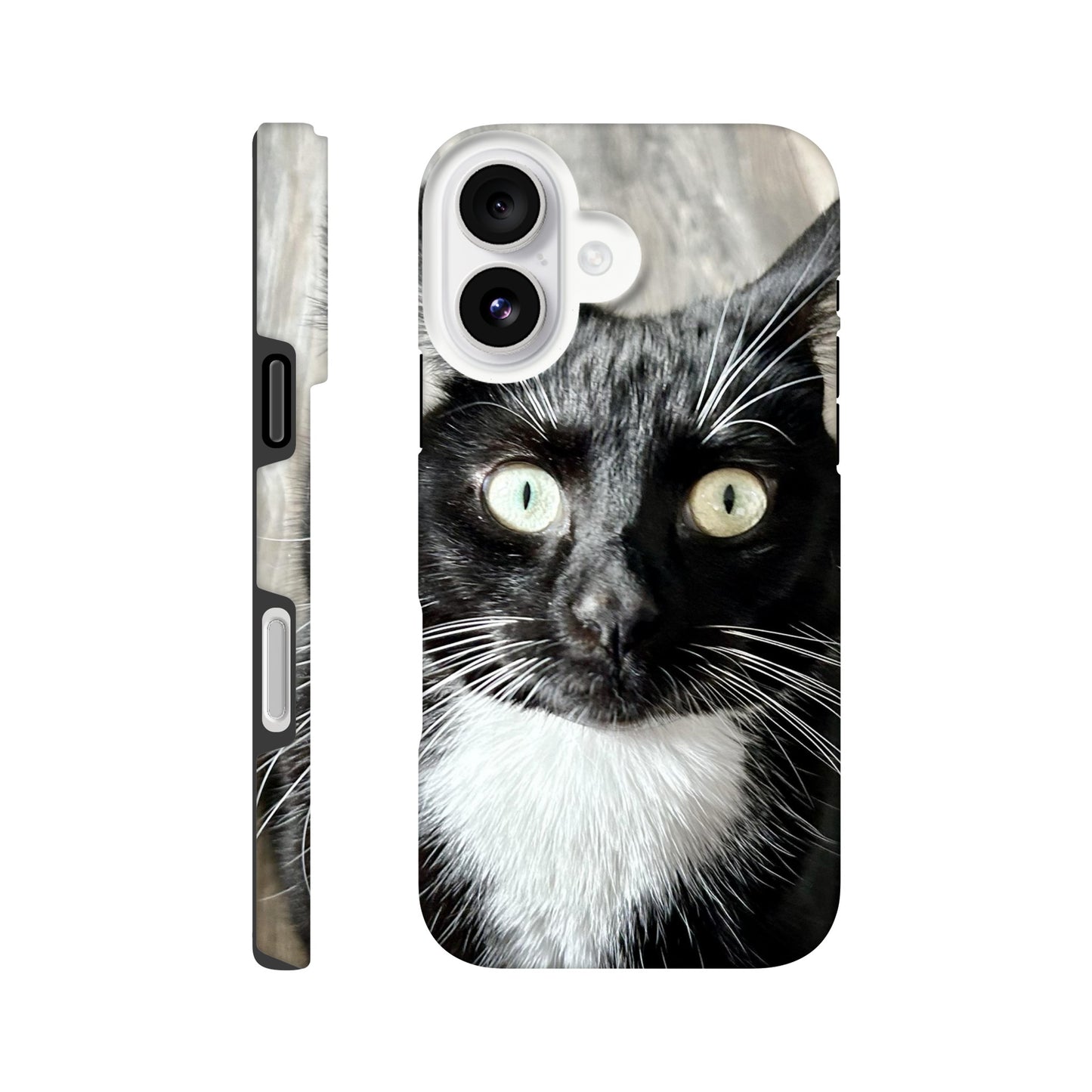 a5f41780-3dea-4f97-9eb1-d70a577362eb