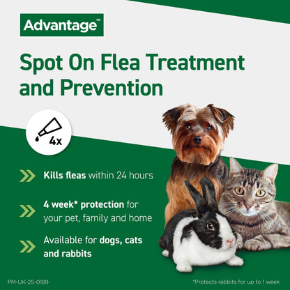 Advantage 250 Flea Spot On Treatment 1 Pipette 2.5ml 10-25kg - Sayby’s