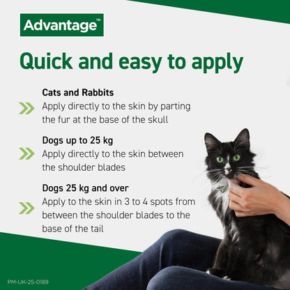 Advantage 250 Flea Spot On Treatment 1 Pipette 2.5ml 10-25kg - Sayby’s