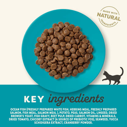 Applaws Natural Complete Dry Food for Adult Cats, Chicken with Lamb Grain Free, 2kg Bag - Sayby’s