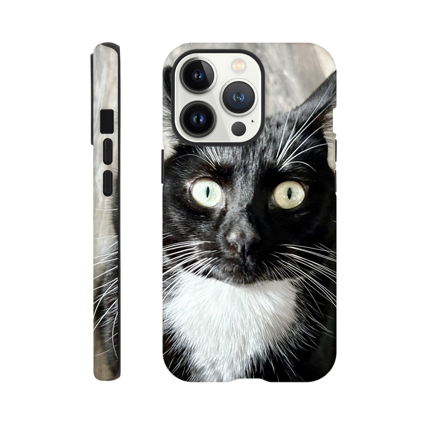 b78a0e9b-9eaf-435e-8a2f-0211115b99a7