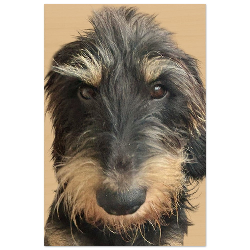 b82c9cf4-4524-489f-b69c-be8ffbc99223