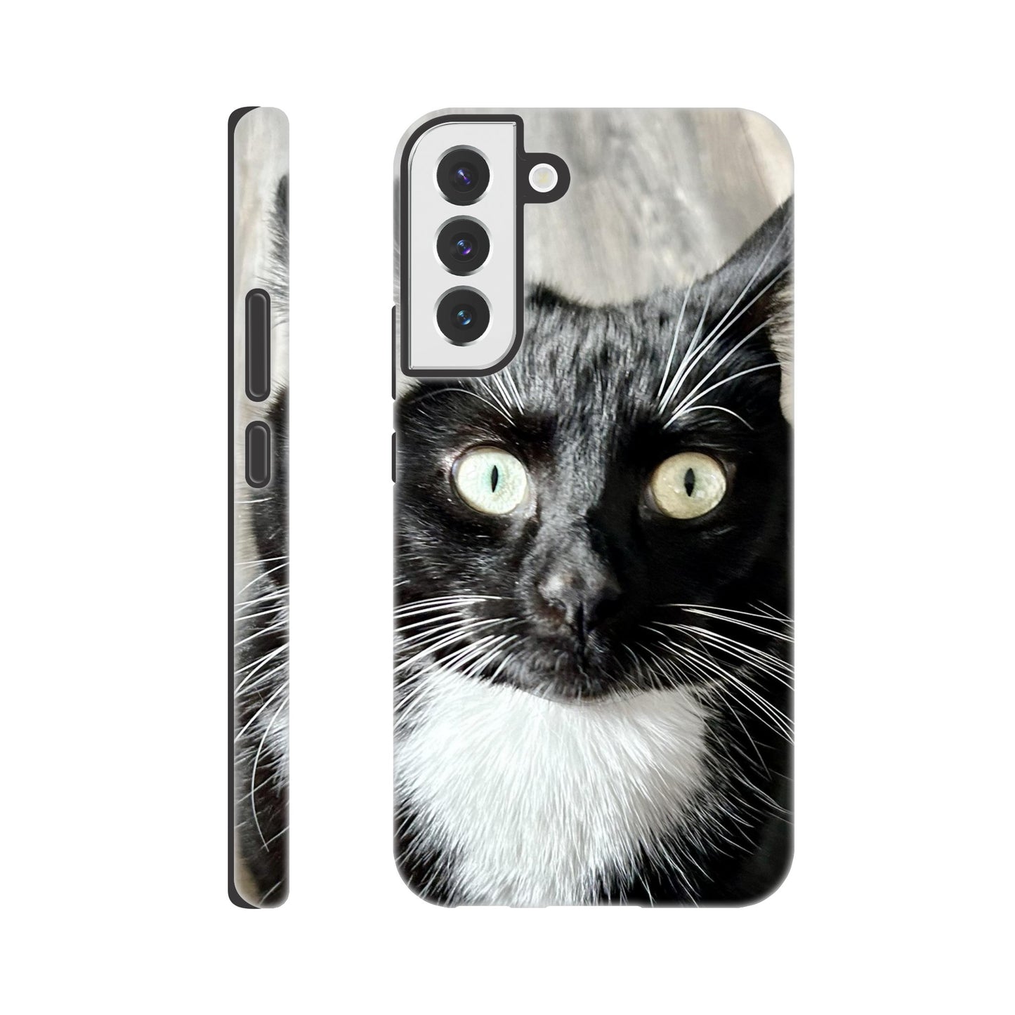 ba146ff0-7ebd-4ed6-a734-ea552e61c335