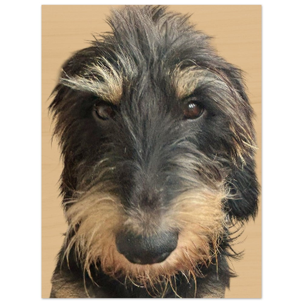 bb6b7555-9c35-4b3b-83ec-a2dfd8470b66