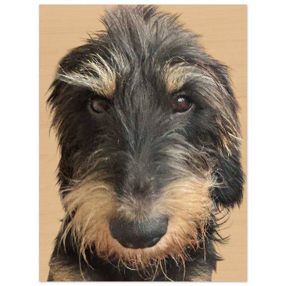 bda02628-34f8-4758-a939-e5e5be15bd4c