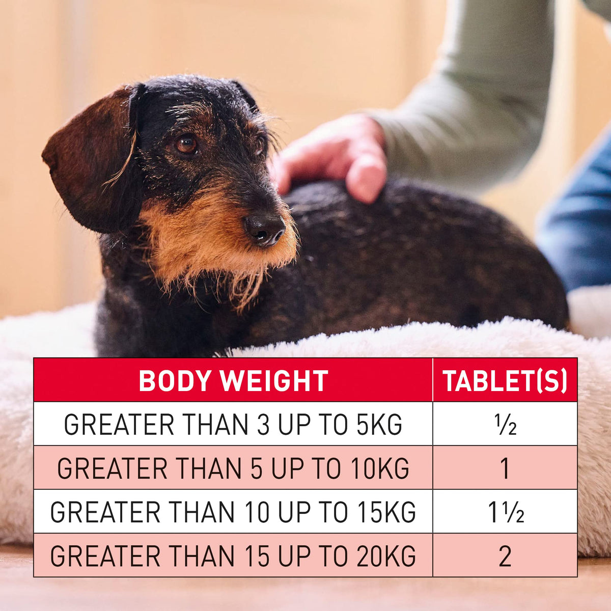 Beaphar | WORMclear® Tablets for Dogs up to 40kg | Kills All Common UK Intestinal Worms (Roundworms & Tapeworms) | Vet Strength Treatment | Pork-flavoured | 4 tablets - Sayby’s