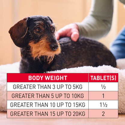 Beaphar | WORMclear® Tablets for Dogs up to 40kg | Kills All Common UK Intestinal Worms (Roundworms & Tapeworms) | Vet Strength Treatment | Pork-flavoured | 4 tablets - Sayby’s