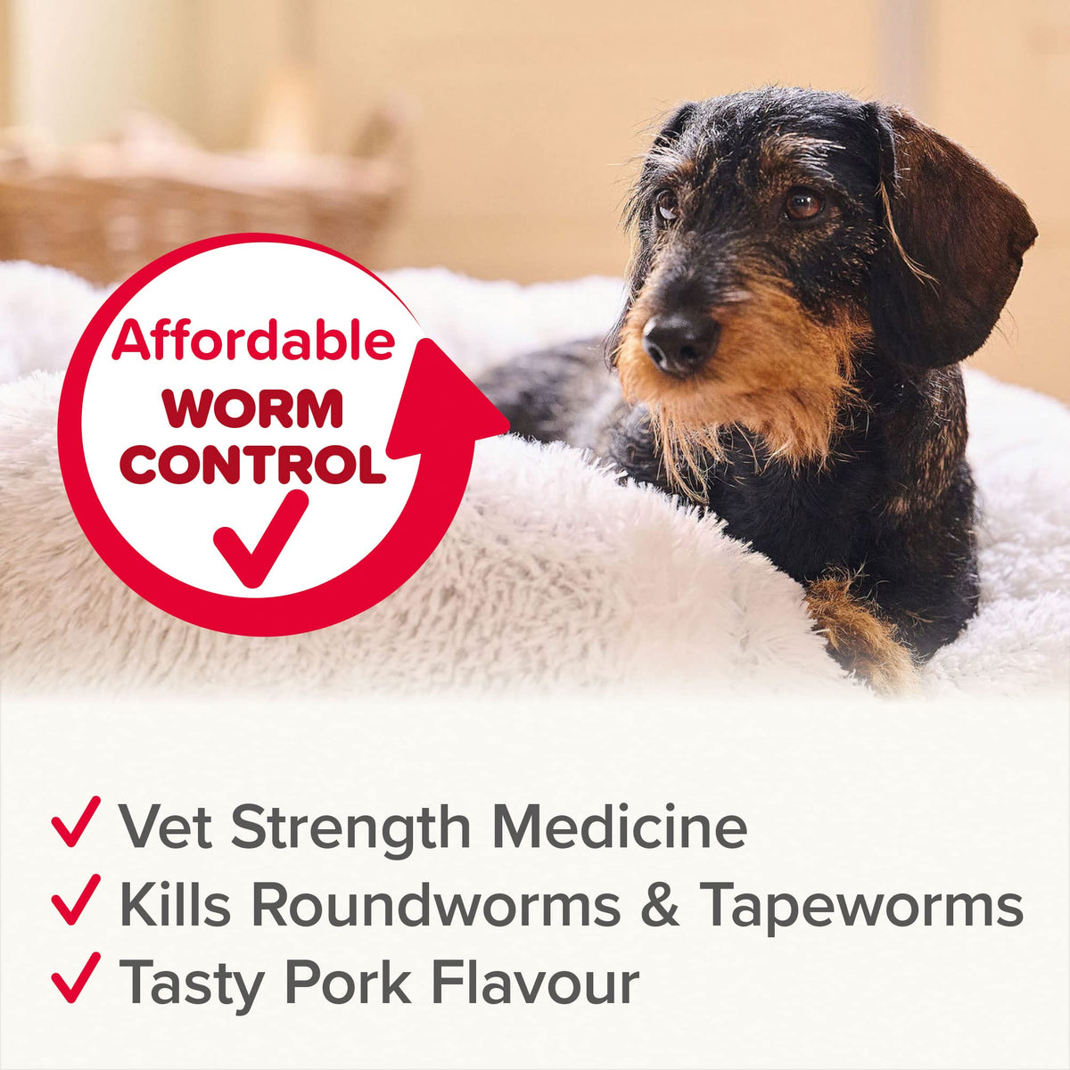 Beaphar | WORMclear® Tablets for Dogs up to 40kg | Kills All Common UK Intestinal Worms (Roundworms & Tapeworms) | Vet Strength Treatment | Pork-flavoured | 4 tablets - Sayby’s
