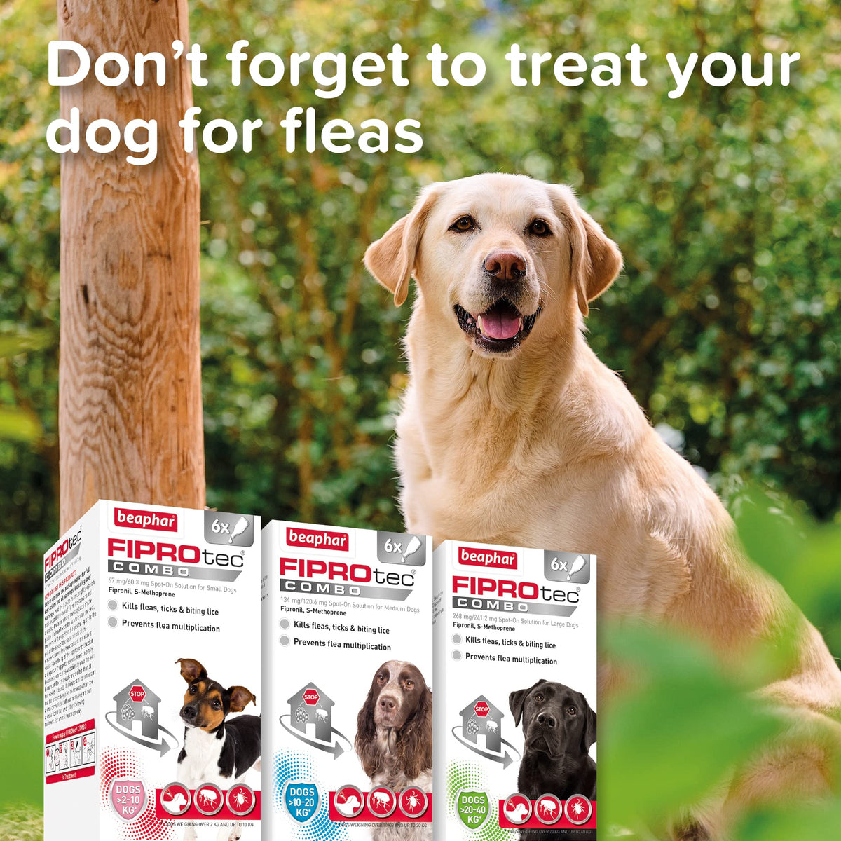 Beaphar | WORMclear® Tablets for Dogs up to 40kg | Kills All Common UK Intestinal Worms (Roundworms & Tapeworms) | Vet Strength Treatment | Pork-flavoured | 4 tablets - Sayby’s