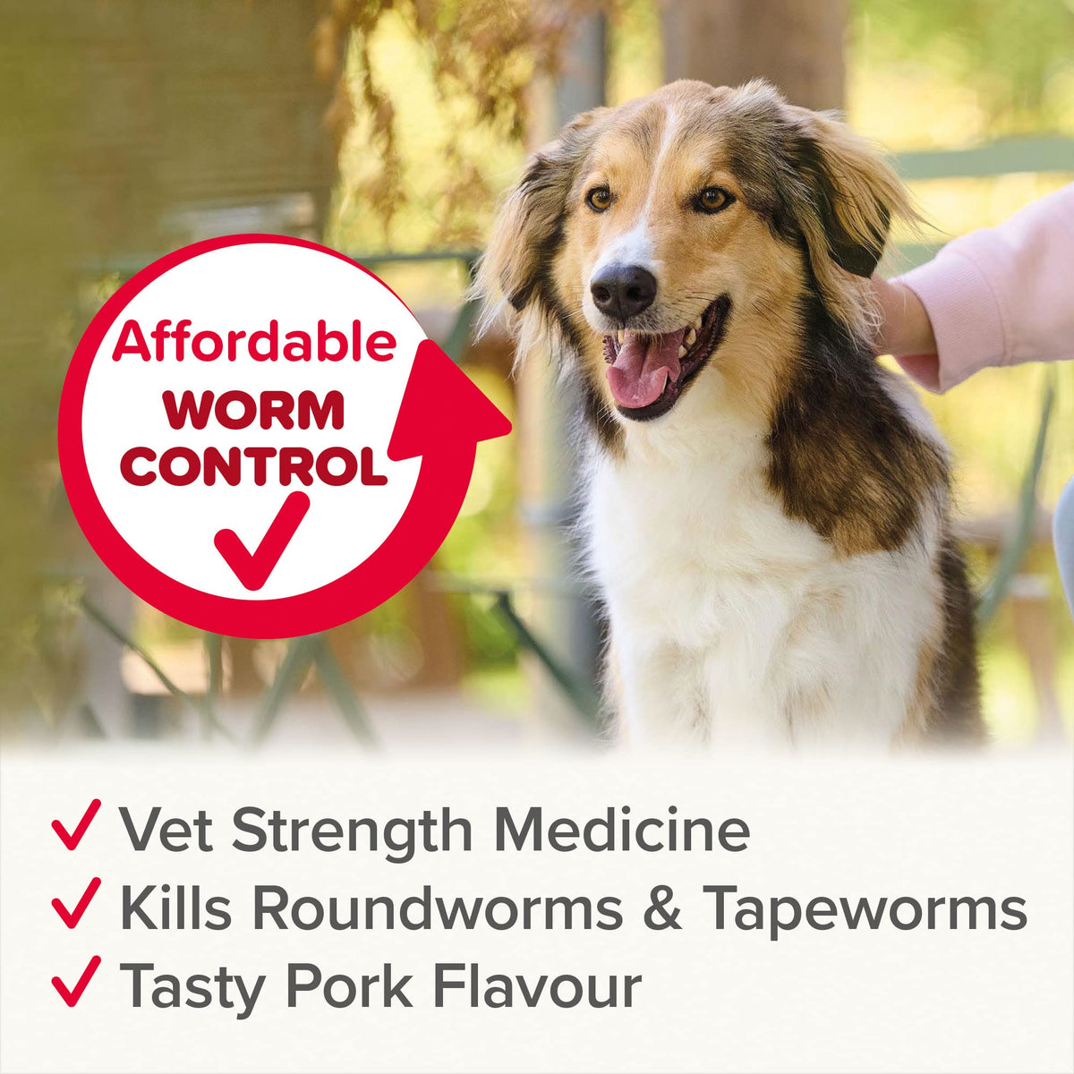 Beaphar | WORMclear® Tablets for Dogs up to 40kg | Kills All Common UK Intestinal Worms (Roundworms & Tapeworms) | Vet Strength Treatment | Pork-flavoured | 4 tablets - Sayby’s