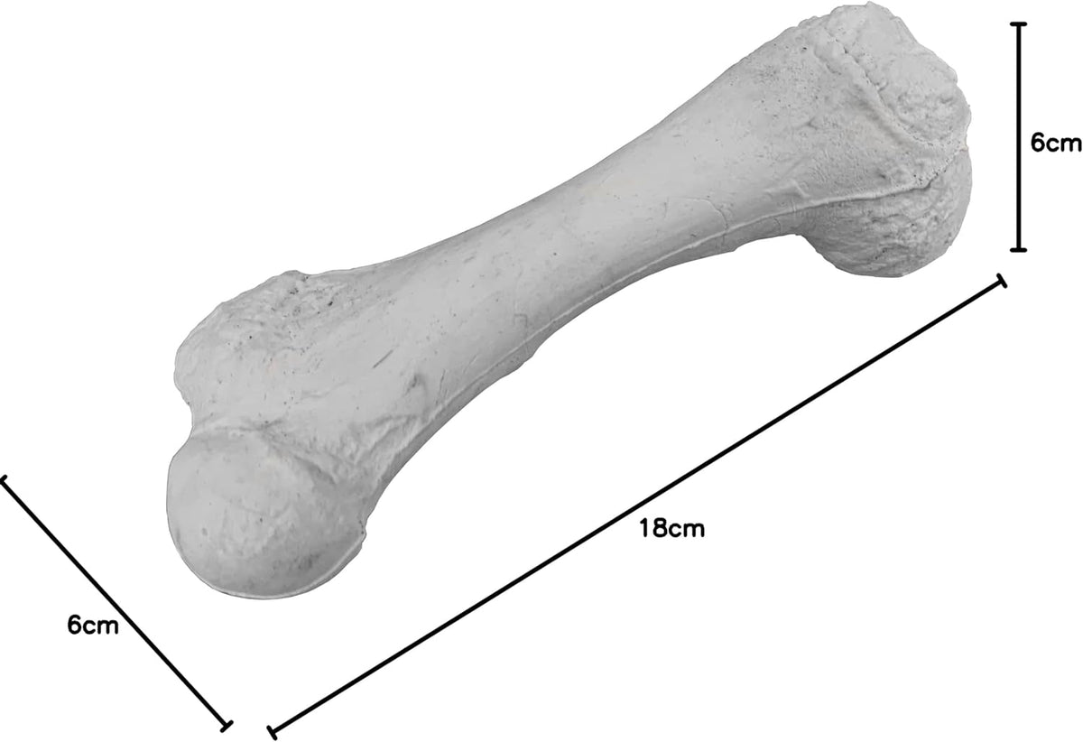 Bone Chew Toy for Dogs, Hardwearing, Durable Boredom Buster Dog Toy, Strong and Tough Toy for Dogs. Made in the UK. Made from Recycled Plastics. Helps Reduce Seperation Anxiety. - Sayby’s