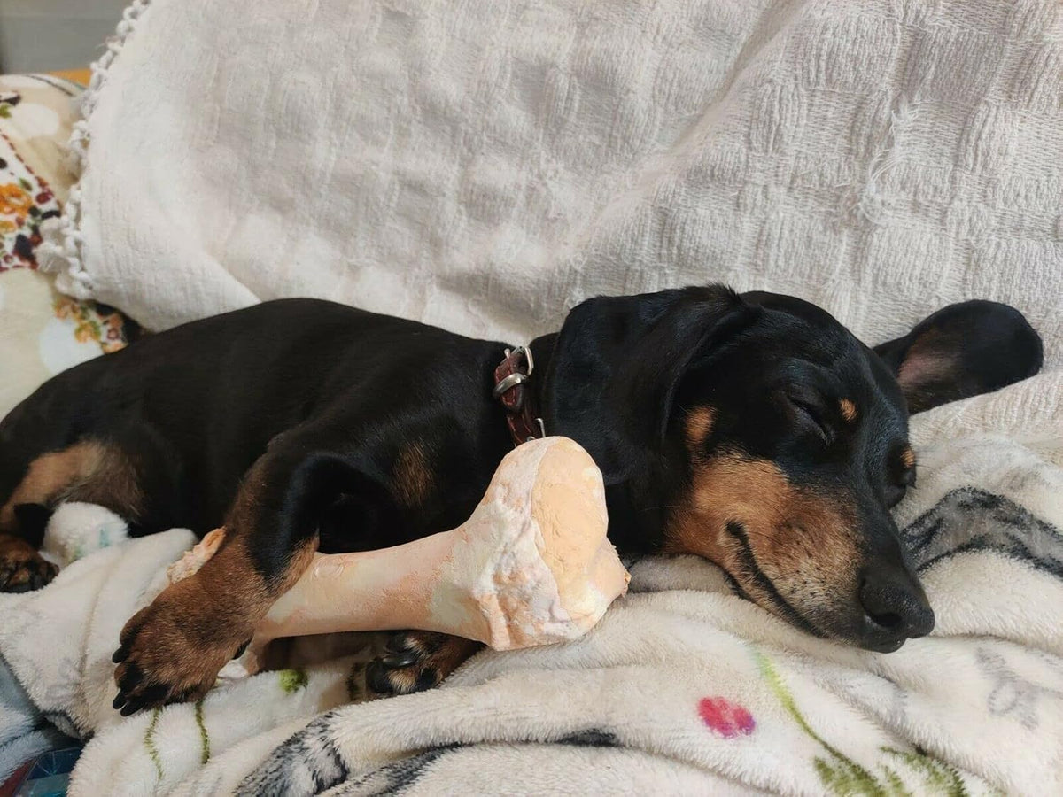 Bone Chew Toy for Dogs, Hardwearing, Durable Boredom Buster Dog Toy, Strong and Tough Toy for Dogs. Made in the UK. Made from Recycled Plastics. Helps Reduce Seperation Anxiety. - Sayby’s