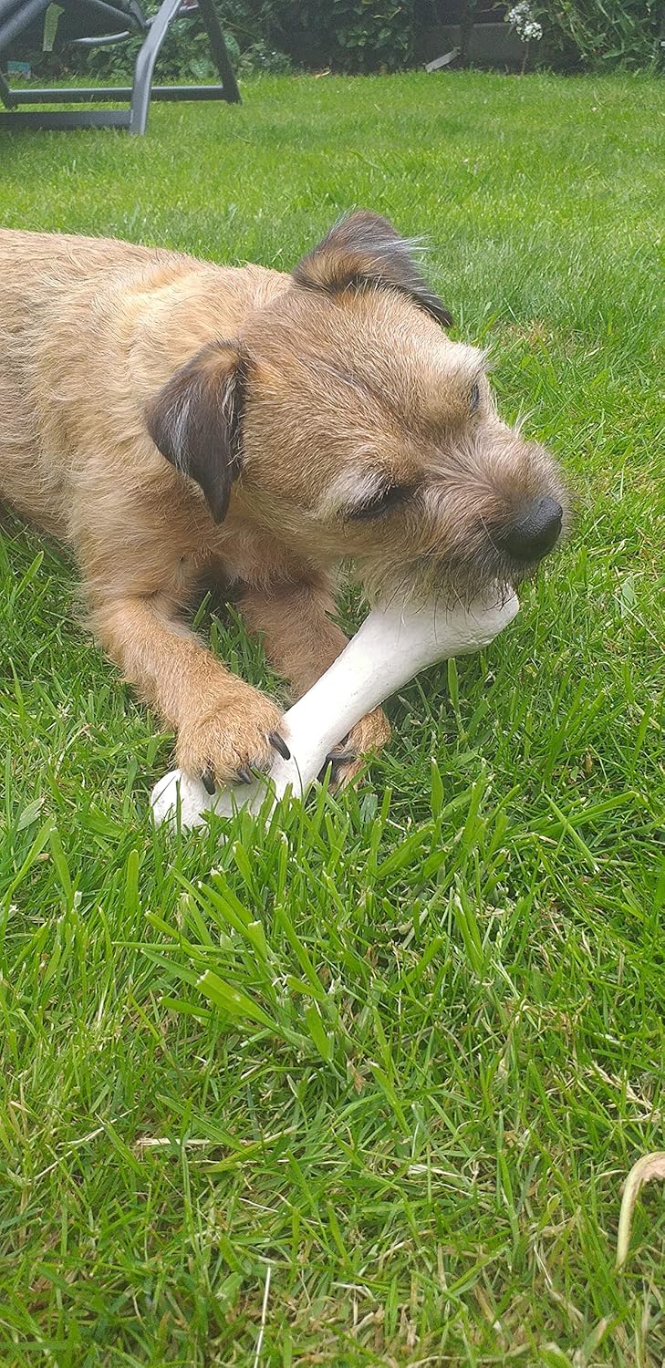 Bone Chew Toy for Dogs, Hardwearing, Durable Boredom Buster Dog Toy, Strong and Tough Toy for Dogs. Made in the UK. Made from Recycled Plastics. Helps Reduce Seperation Anxiety. - Sayby’s