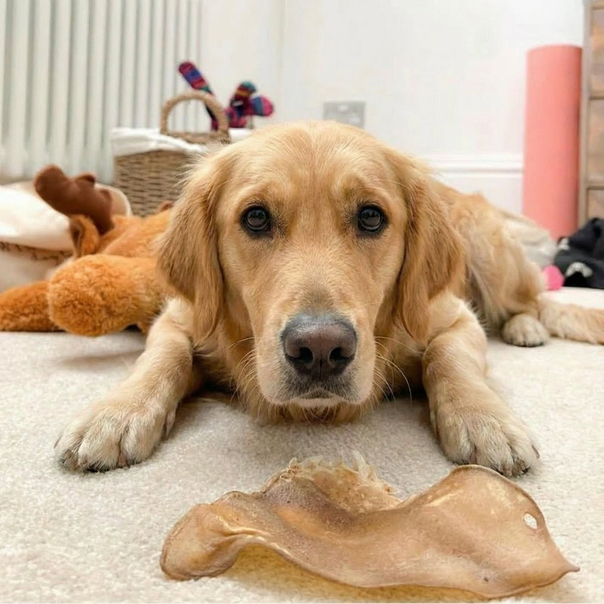 Buffalo Ears - Dog Treats - Sayby’s
