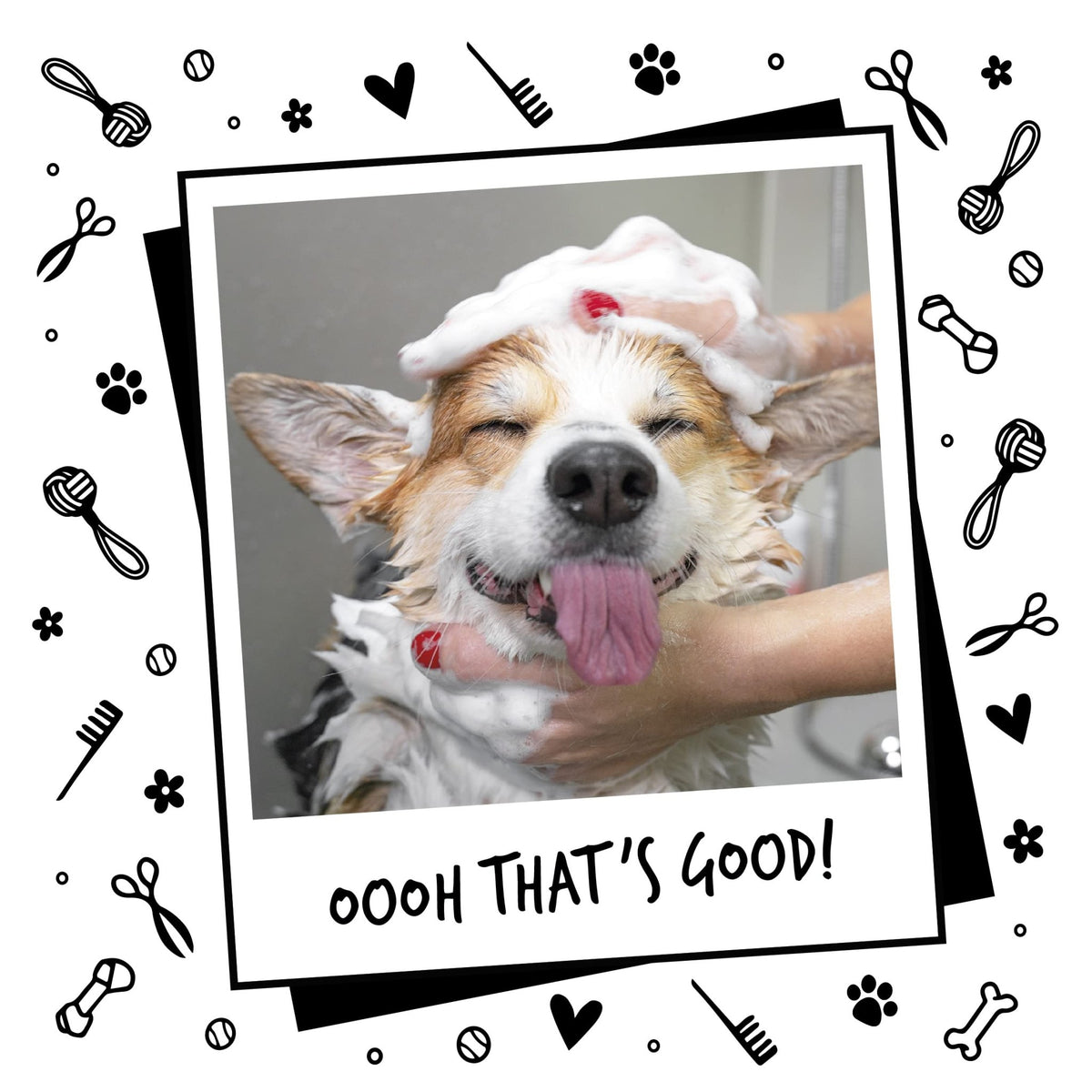 BUGALUGS Baby Fresh Dog Shampoo grooming products for smelly dogs with baby powder scent, best puppy shampoo, Vegan pet shampoo professional (625ml) - Sayby’s