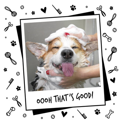BUGALUGS Baby Fresh Dog Shampoo grooming products for smelly dogs with baby powder scent, best puppy shampoo, Vegan pet shampoo professional (625ml) - Sayby’s