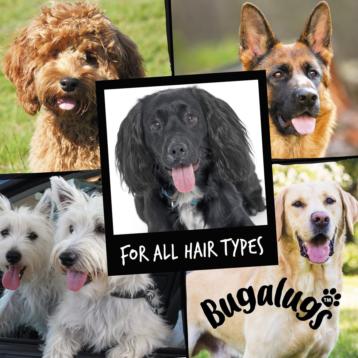 BUGALUGS Itchy Dog Shampoo with Oatmeal & Aloe Vera Dog professional Vegan dog grooming products for smelly dogs with fragrance can use as puppy shampoo (500ml) - Sayby’s