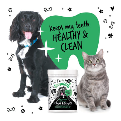 BUGALUGS Plaque Off Remover for Dog 70g Teeth & Bad Breath 100% Natural | Plaque Off Dogs No Need for Dog Toothbrush or Dog Toothpaste | Remove Dog Bad Breath & Plaque Remover for Dogs & Cats (70g) - Sayby’s
