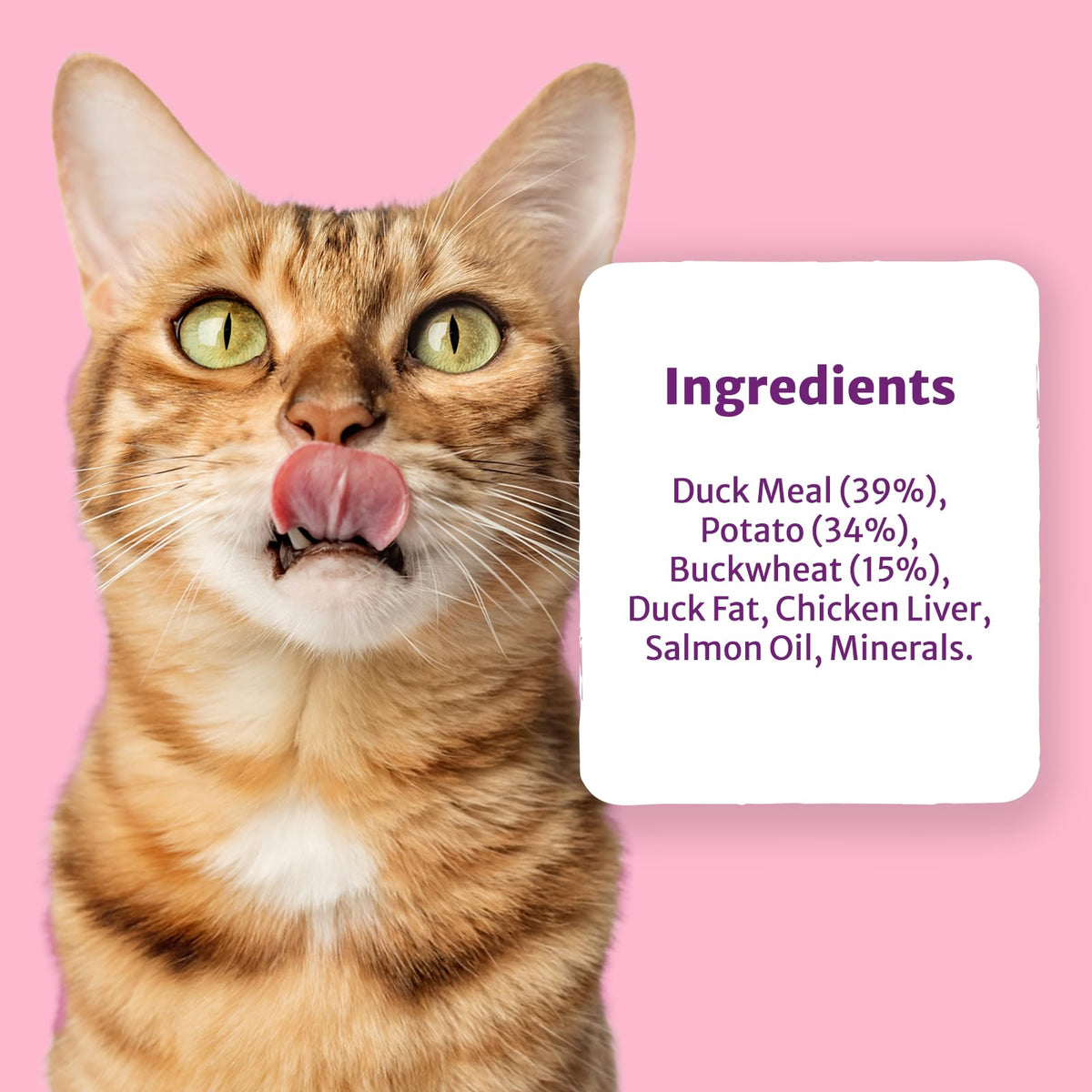 Burns Pet Nutrition Cat Food Sensitive Duck and Potato Grain Free 1.5 kg - Sayby’s