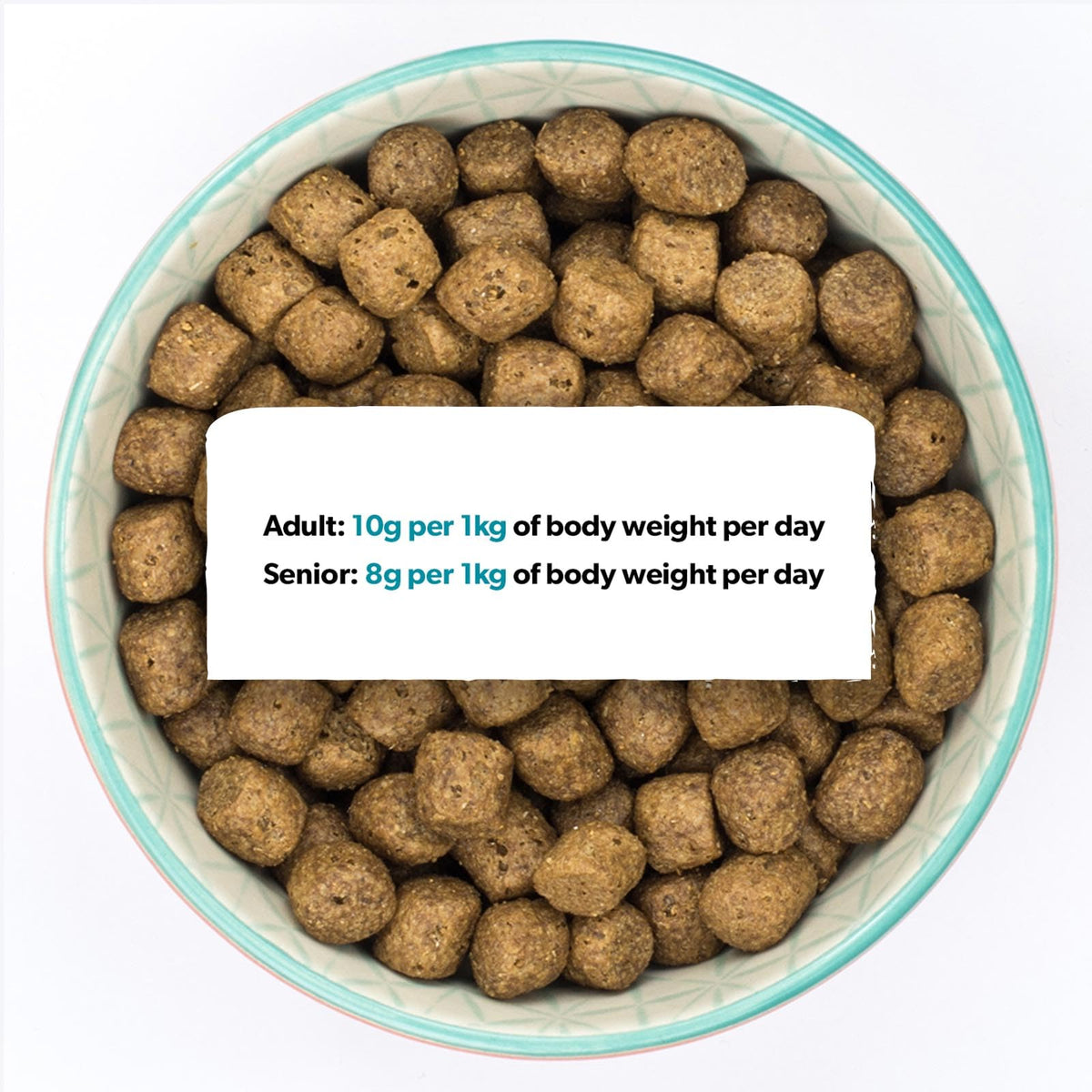 Burns Pet Nutrition Hypoallergenic Complete Dry Dog Food Adult and Senior Dog Sensitive with Duck and Brown Rice 2 kg - Sayby’s