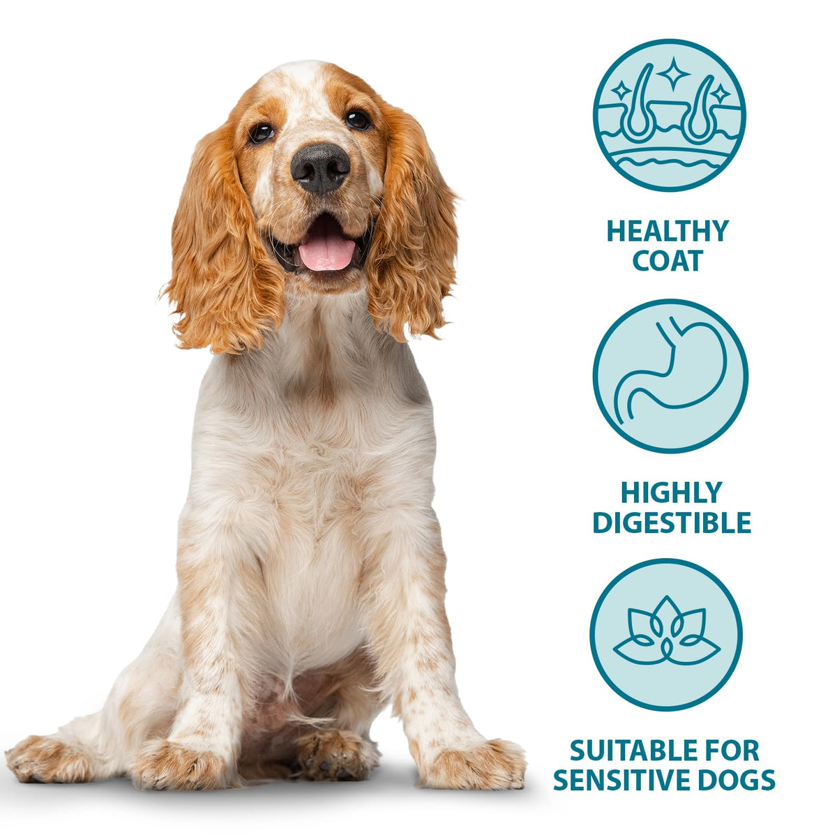 Burns Pet Nutrition Hypoallergenic Complete Dry Dog Food Adult and Senior Dog Sensitive with Duck and Brown Rice 2 kg - Sayby’s