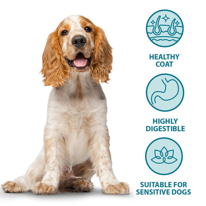 Burns Pet Nutrition Hypoallergenic Complete Dry Dog Food Adult and Senior Dog Sensitive with Duck and Brown Rice 2 kg - Sayby’s