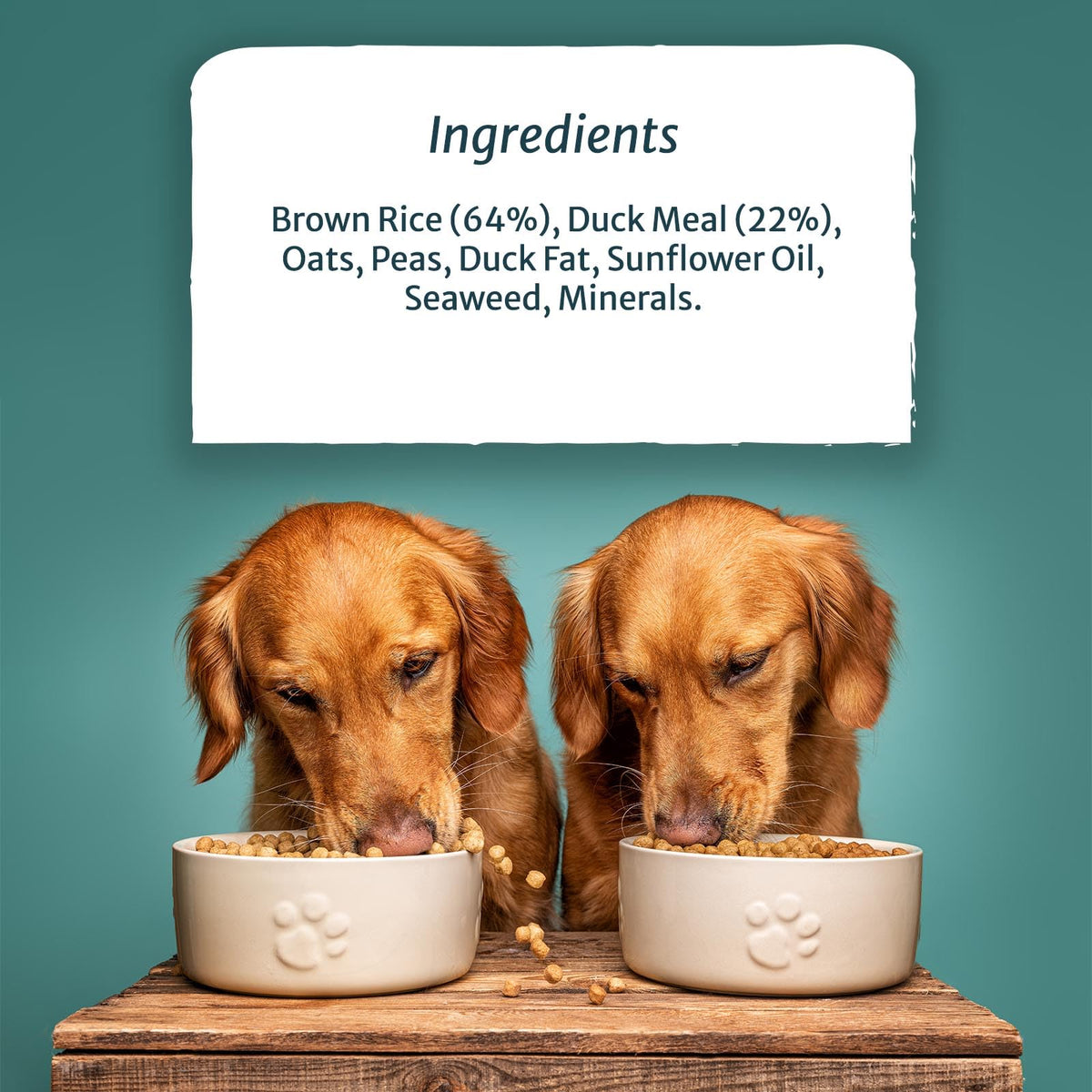 Burns Pet Nutrition Hypoallergenic Complete Dry Dog Food Adult and Senior Dog Sensitive with Duck and Brown Rice 2 kg - Sayby’s