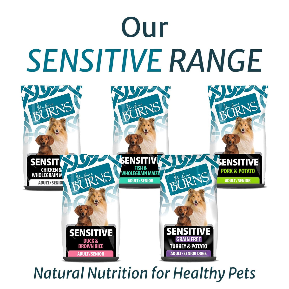 Burns Pet Nutrition Hypoallergenic Complete Dry Dog Food Adult and Senior Dog Sensitive with Duck and Brown Rice 2 kg - Sayby’s