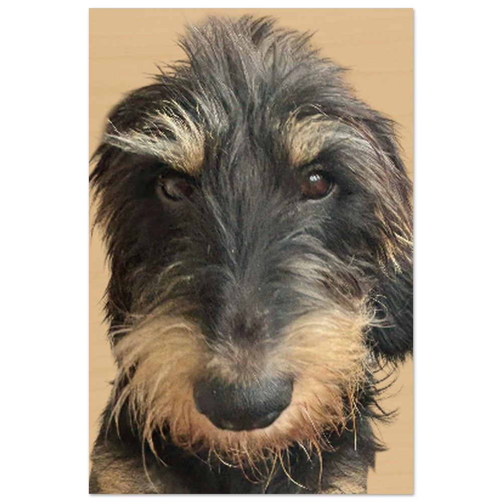 c557dd0c-f4b1-4943-8f0d-93dd3a7b1e1f