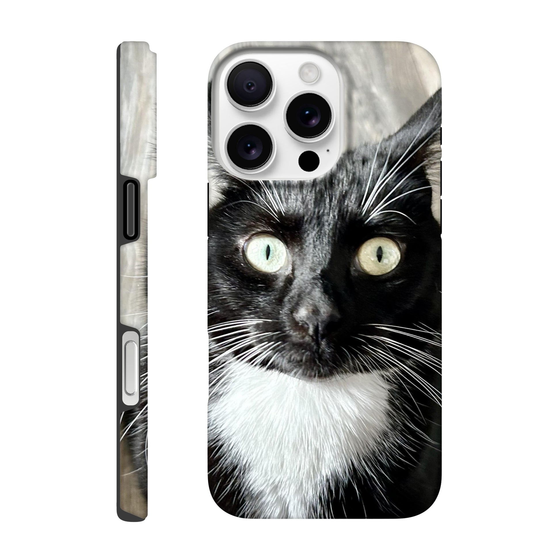 c817fbd8-fc76-48ee-963e-898f81b85ed1